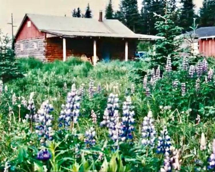Book Review: Letters from Happy Valley: Memories of an Alaska Homesteader’s Son by Dan Walker
